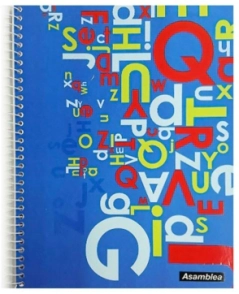 CUADERNO ASAMBLEA 21x27 x 100hjs CD