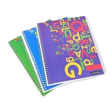 CUADERNO ASAMBLEA 21x27 x 100hjs CD