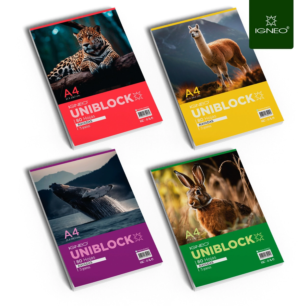 BLOCK IGNEO A4 UNIBLOCK x 80hjs RY
