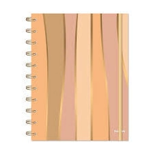 NOR PAC AGENDA 919 N&ordm;8 SEMI T/DURA GENDERLESS ESP.