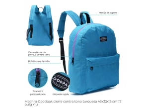 MOCHILA GOODPAK LISA ROSA 43x33x15 cm 17"