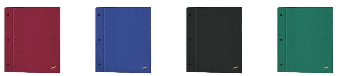 CARPETA FW N�3 TAPA FORRADA PP VERDE