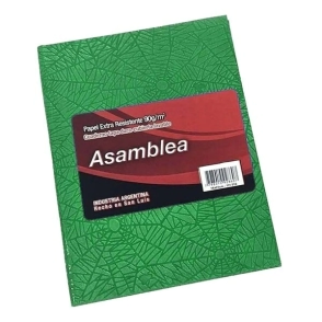 CUADERNO ASAMBLEA N&ordm;1 T/D x 194hjs RY