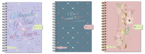 AGENDA RY 15 x 21cm PAZ 2 DIAS x PAGINA 2027