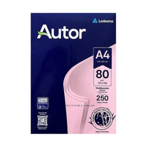 PAPEL LEDESMA COLOR A4 80grs x 250hjs ROSA