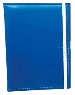 AGENDA NIVEL 10 2027 EURO SURTIDA PESP/CONTRATONO P/LAPIZ