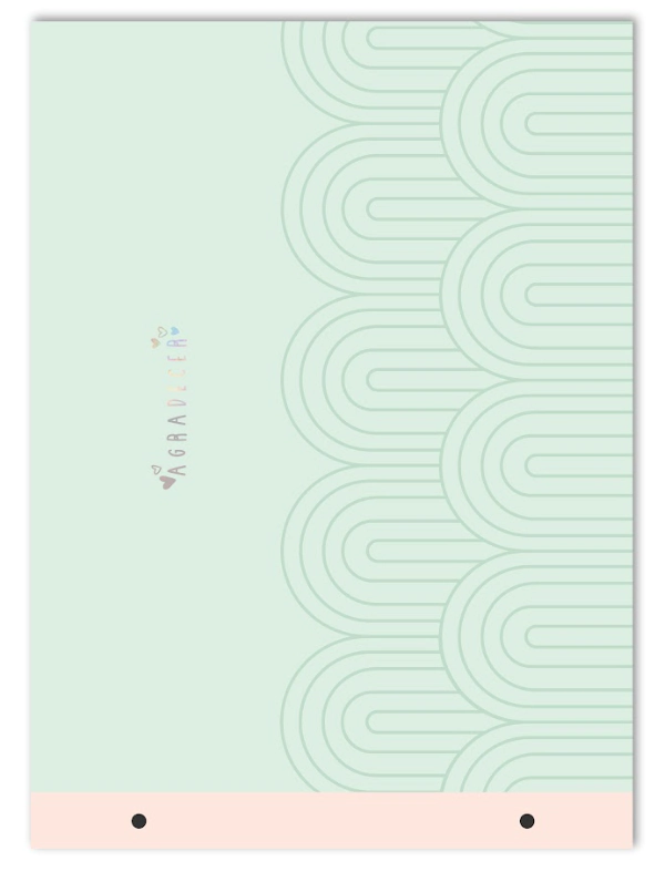 CARPETA LOBO TAPA N�5 PASTEL