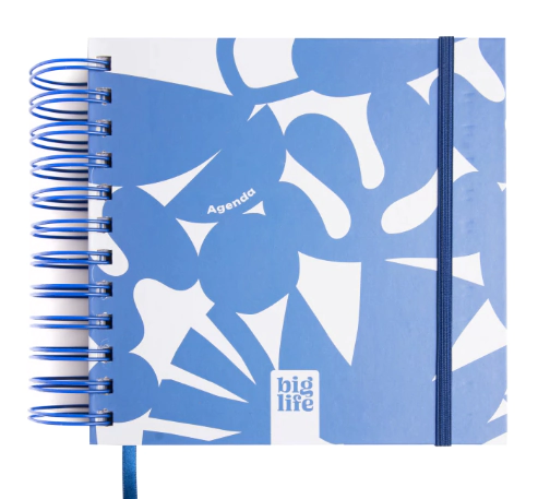 AGENDA PPR BIG LIFE 16x16 PERPETUA BLUE