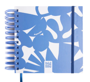 AGENDA PPR BIG LIFE 16x16 PERPETUA BLUE