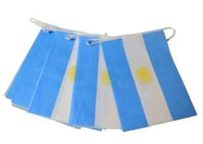BANDERIN ARGENTINA X 20 BANDERA DE 20 X 30  X 10METROS APROX