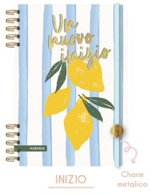 AGENDA RY 12 x 17cm ACUARELA 2 DIAS x PAGINA 2027