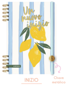 AGENDA RY 12 x 17cm ACUARELA 2 DIAS x PAGINA 2027