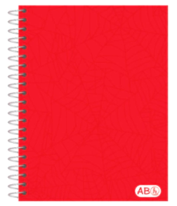 CUADERNO RY 20x28 DUO ESCOLAR x 100hjs RY