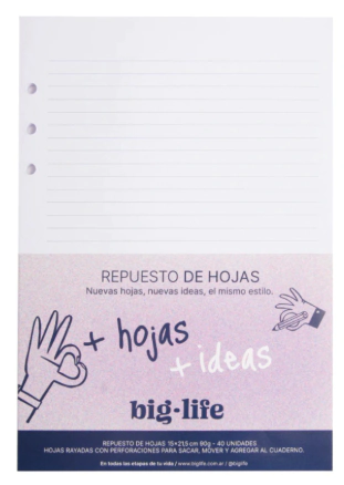 REPUESTO PPR 16.5x22 x 40hjs RY