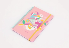 IBI CRAFT CUADERNO ESPIRAL A5 RY x 80hjs PINK WOMAN
