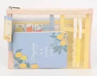 IBI CRAFT SET CARTUCHERA/ANOTADOR/LAPICERA/IMANES CITRIC
