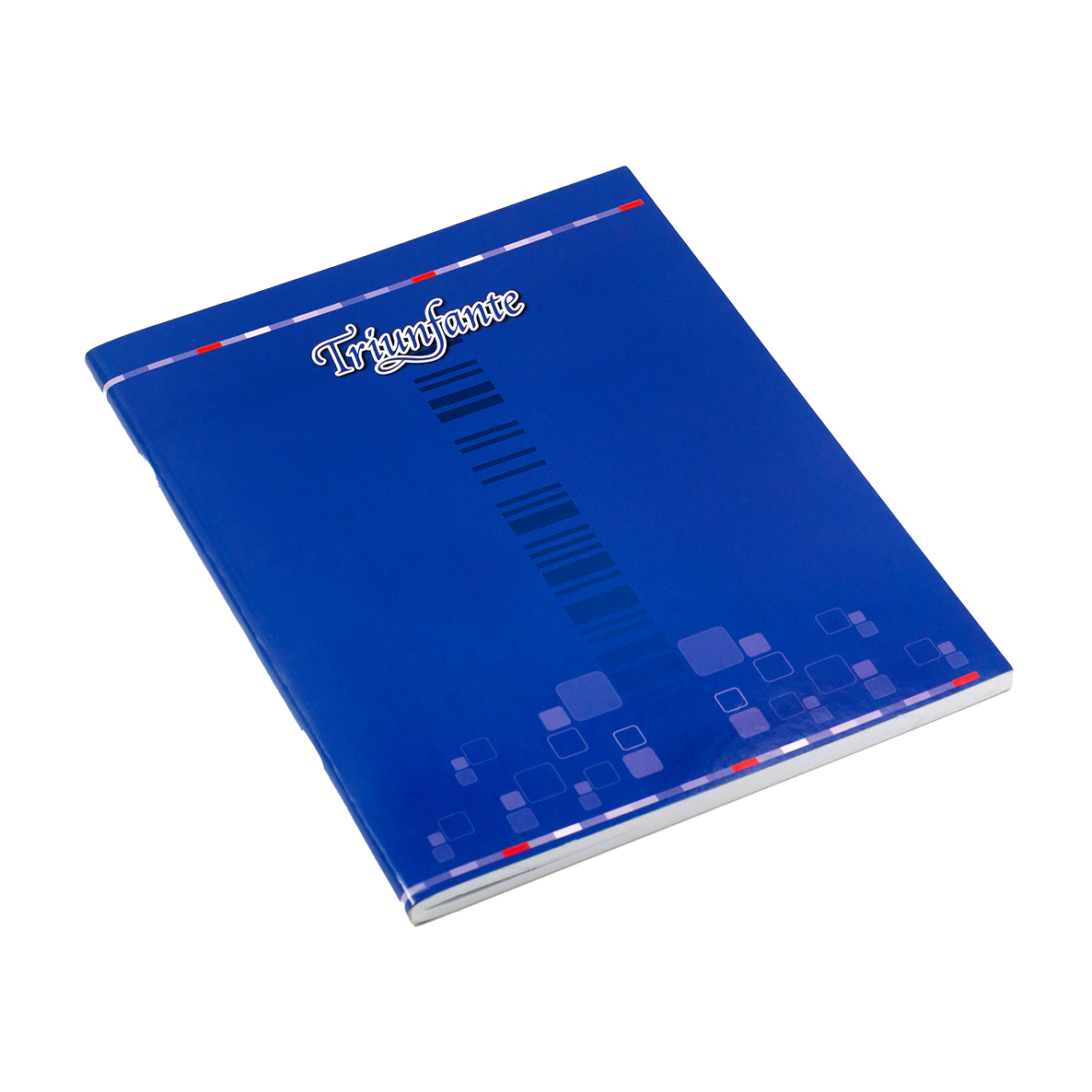 CUADERNO TRIUNFANTE T/FLEX x 48hjs RY
