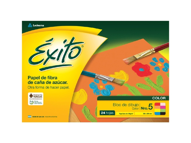 BLOCK EXITO DIB. N*5 COLOR x 24hjs