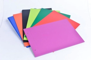 CARPETA REXON N*5 TAPA PVC COLOR
