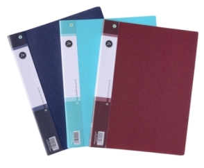 CARPETA FW A4 FOLIOS x 60F