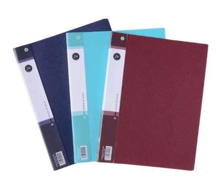 CARPETA FW A4 FOLIOS x 10F