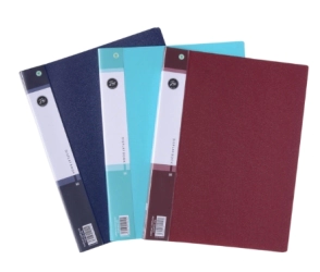 CARPETA FW A4 FOLIOS x 10F