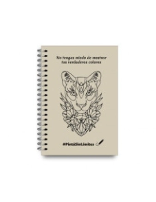 CUADERNO PAPERLAND A5 ECOLOGICO x 80hjs COPA AMERICA RAYADO