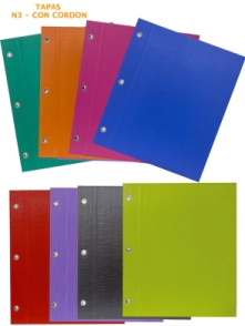 CARPETA REXON N&ordm;3 TAPA PVC COLOR